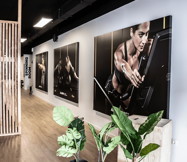 Paneles interiores marca Allbody