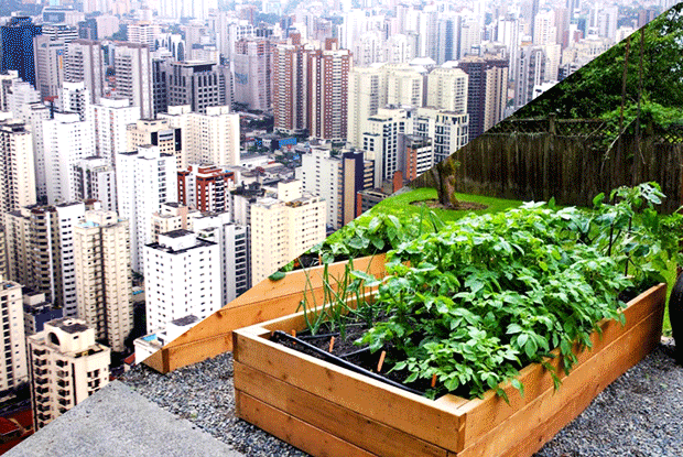 Escenarios Urban Garden