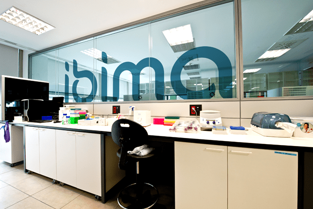 Logo Ibima en vinilo traslúcido