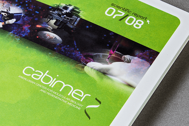 Detalle portada Memoria Cabimer