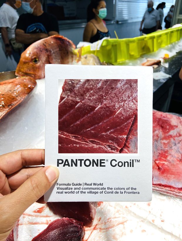 Atun. Pantone Conil Atun. Pantone Conil