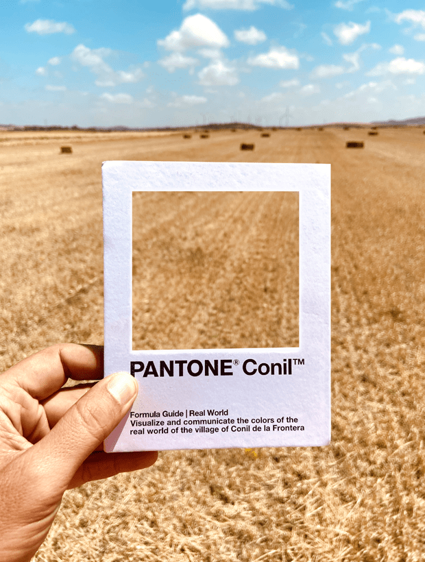 Campo. Pantone Conil Campo. Pantone Conil