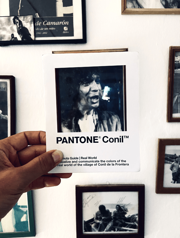 Camaron. Pantone Conil Camaron. Pantone Conil