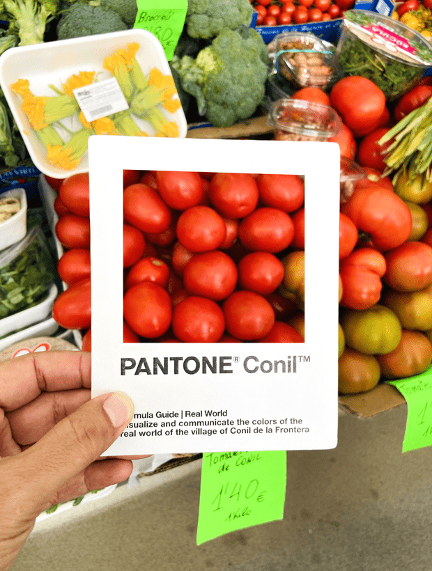 Tomates. Pantone Conil